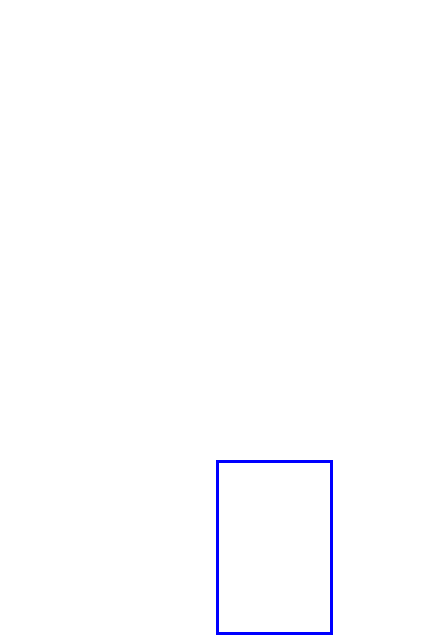 COCO_381587_box