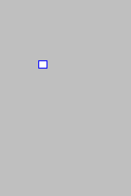 mask_COCO_381587_box