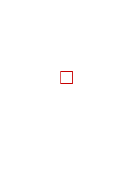 COCO_381587_box