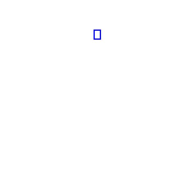 COCO_381639_box