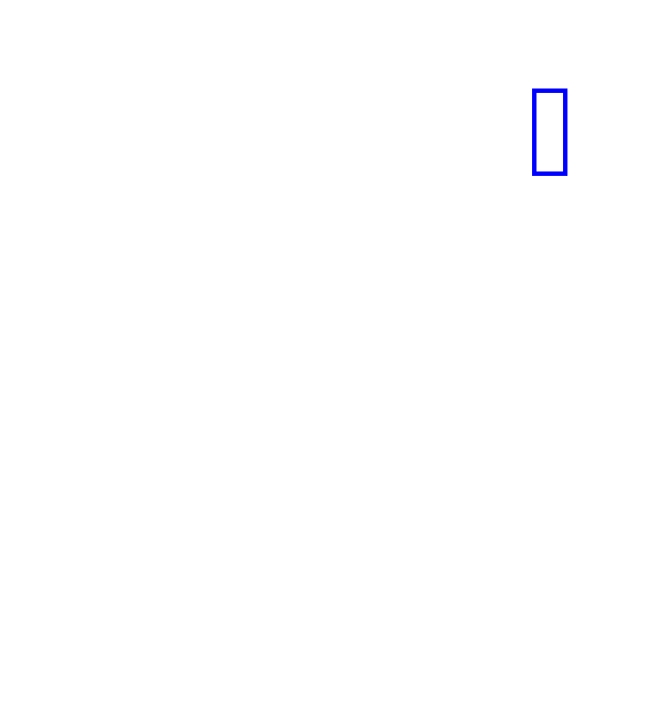 COCO_381639_box