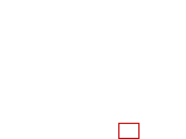 COCO_382125_box