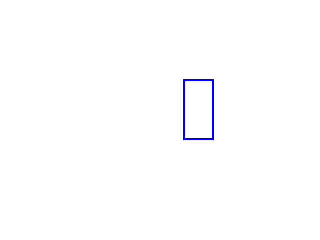 COCO_382125_box