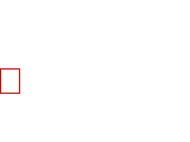 COCO_382125_box