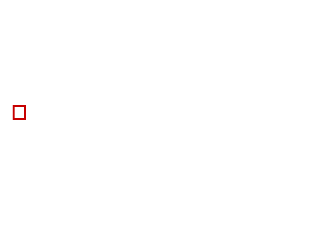 COCO_382125_box