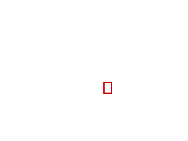 COCO_383606_box