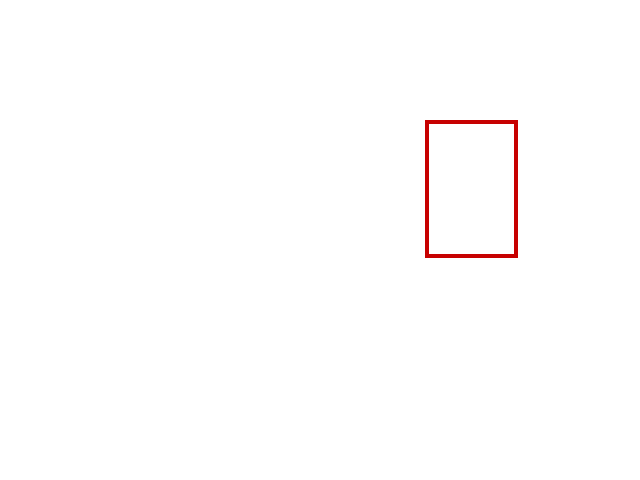 COCO_385029_box