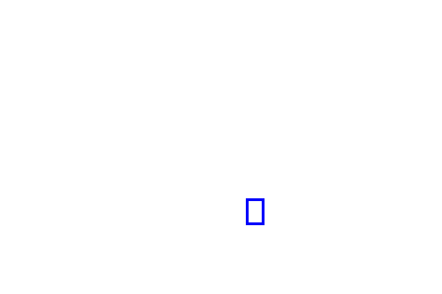 COCO_388846_box