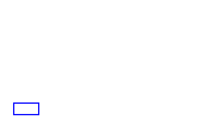 COCO_388846_box