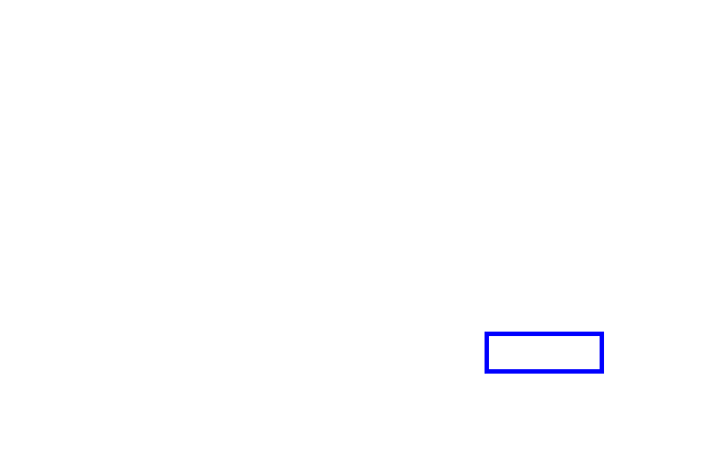COCO_388846_box