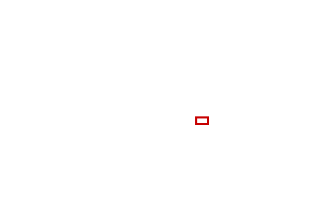 COCO_388846_box