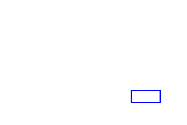 COCO_388846_box