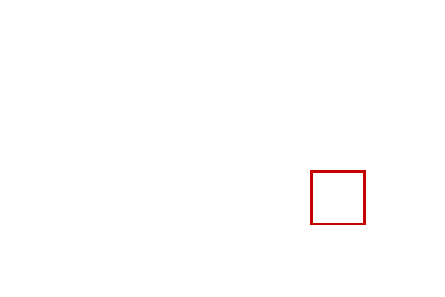 COCO_388846_box