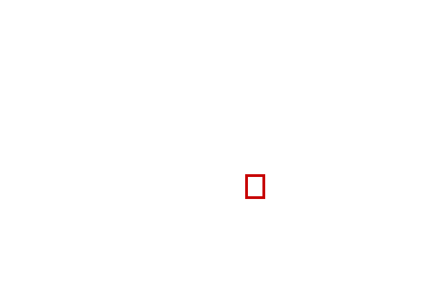 COCO_388846_box