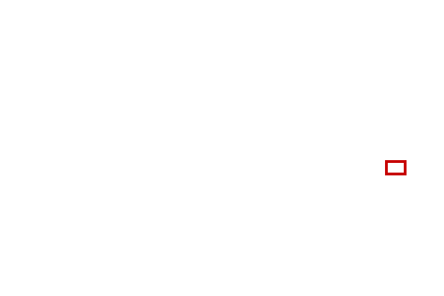 COCO_388846_box