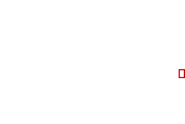 COCO_388846_box