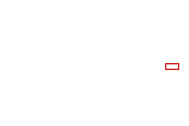 COCO_388846_box