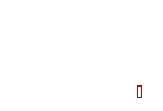 COCO_390555_box