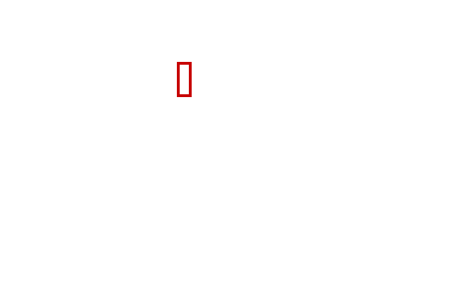 COCO_390555_box