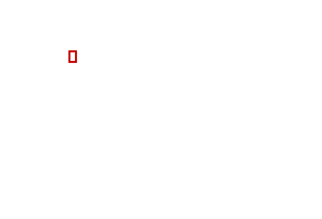 COCO_390555_box