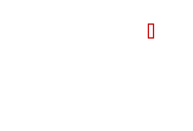 COCO_390555_box