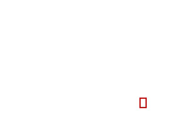 COCO_390555_box