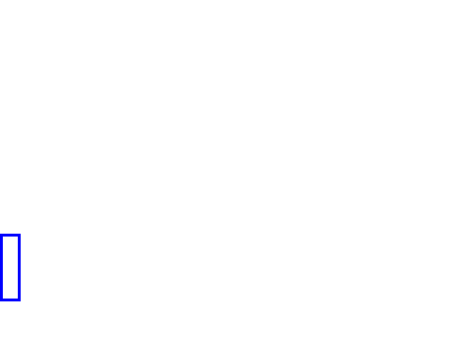 COCO_395343_box