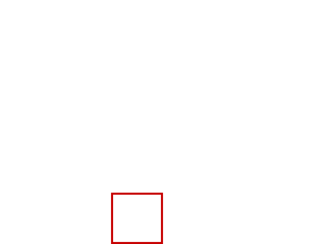 COCO_395343_box