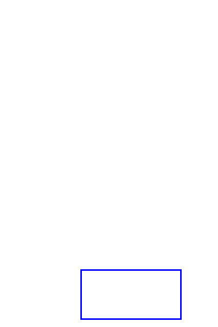 COCO_400794_box