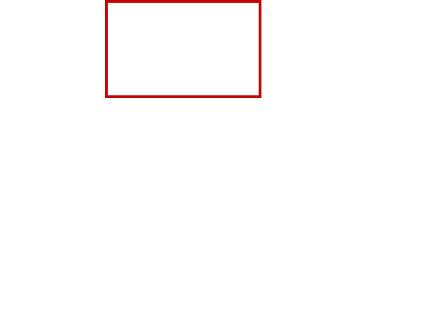 COCO_401446_box
