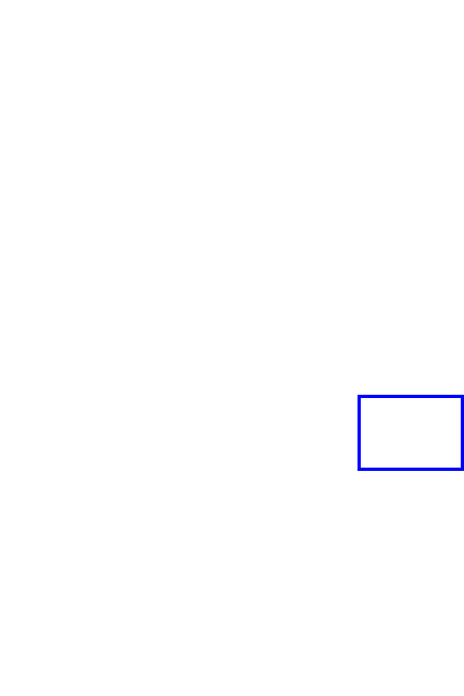 COCO_406570_box