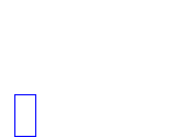 COCO_406611_box