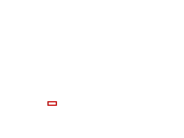 COCO_406611_box