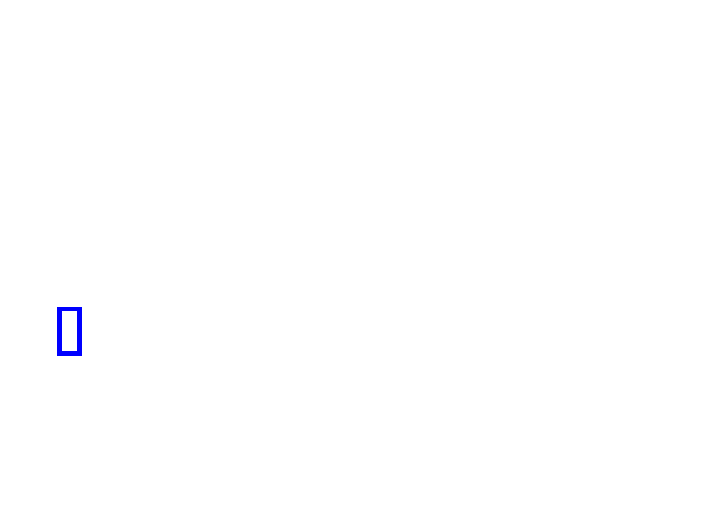 COCO_406611_box