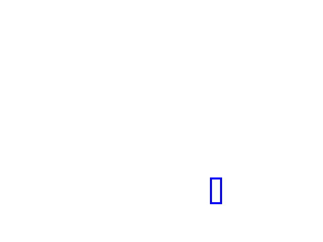 COCO_406611_box