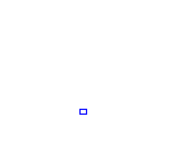 COCO_406611_box