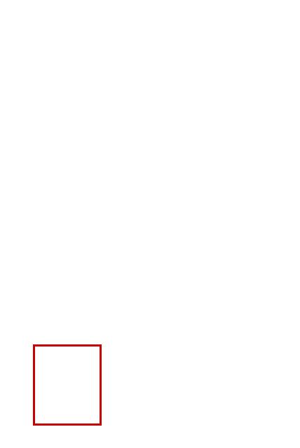 COCO_409867_box