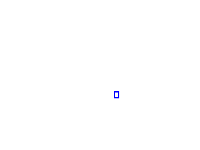 COCO_411530_box
