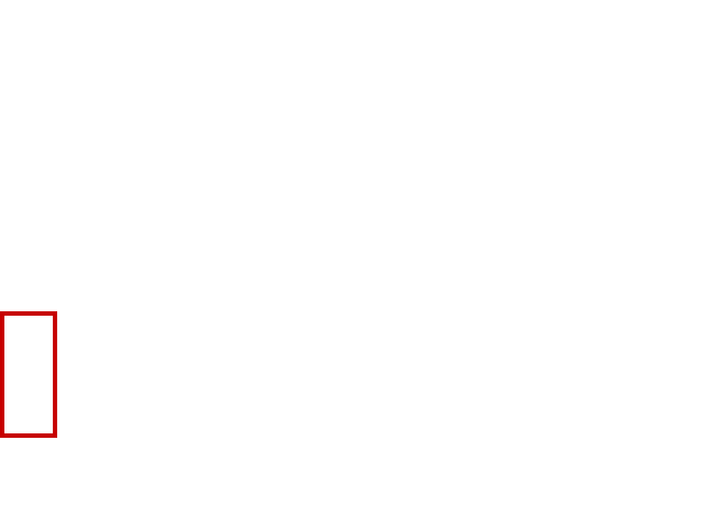 COCO_411530_box