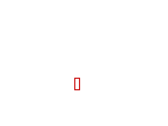 COCO_411530_box