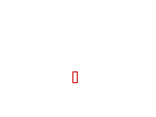 COCO_411530_box