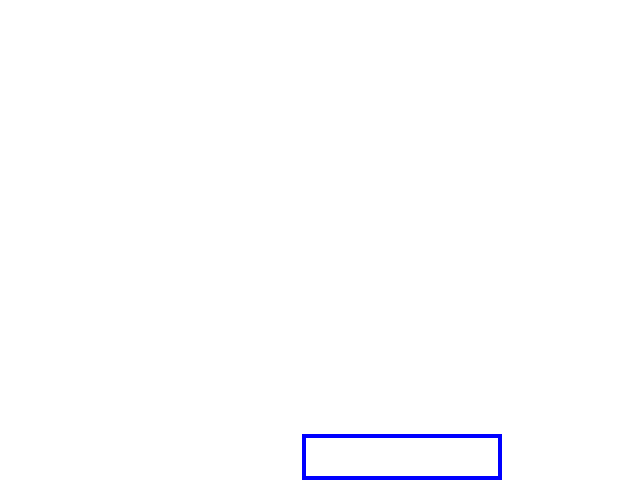 COCO_417632_box