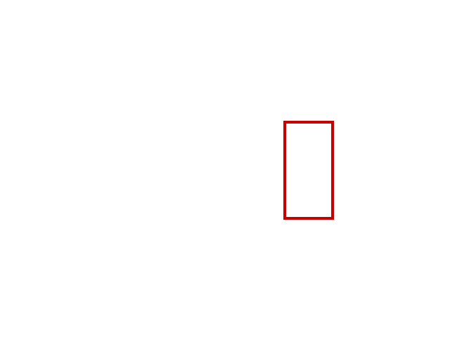 COCO_417632_box