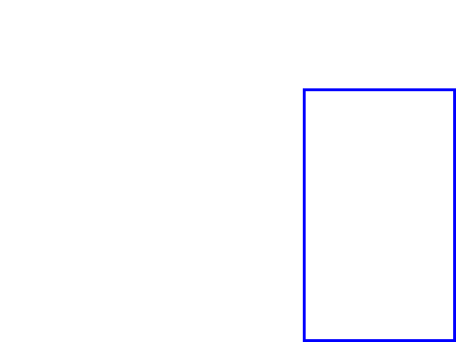 COCO_417632_box