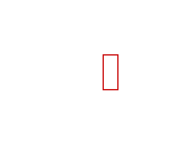 COCO_417632_box