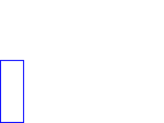 COCO_417632_box