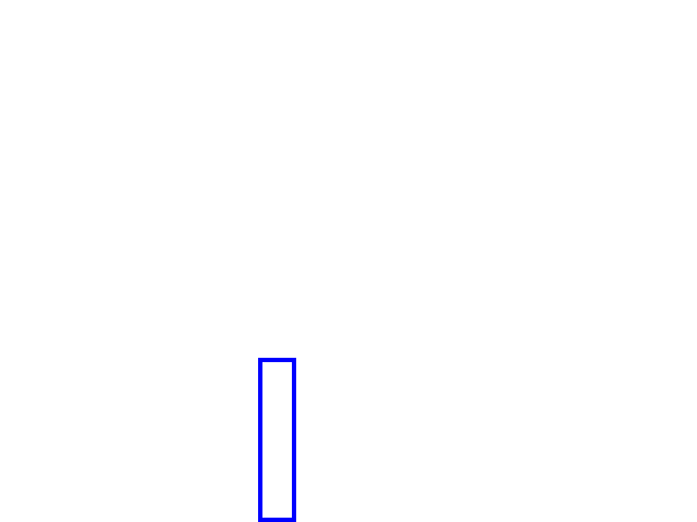COCO_417632_box