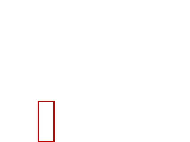 COCO_417632_box