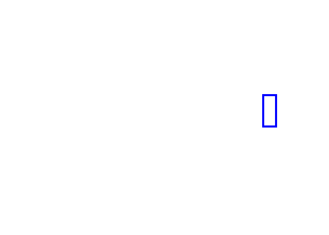 COCO_420069_box