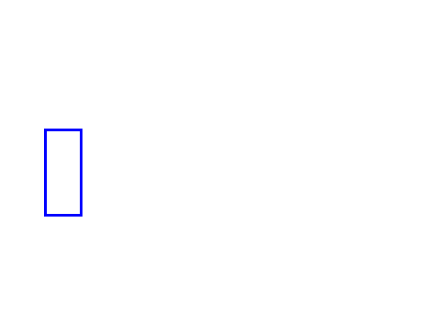 COCO_428218_box